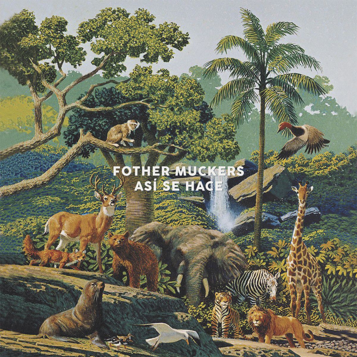 fother muckers asi se hace